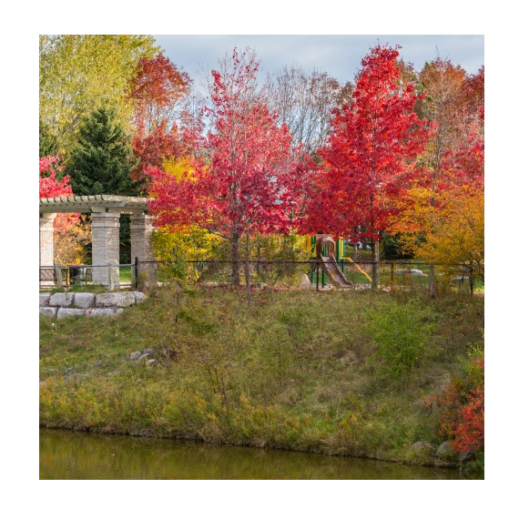 Richmond Hill IT Services